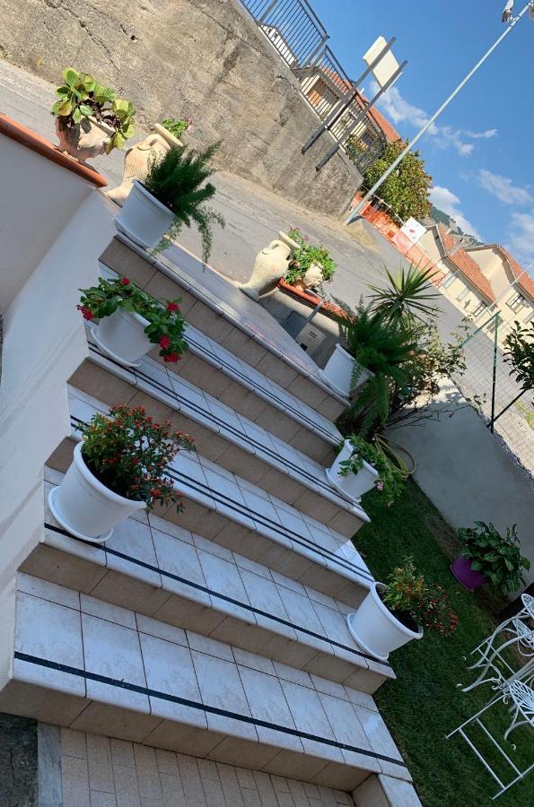 B&B Villa Pignataro Verbicaro Extérieur photo
