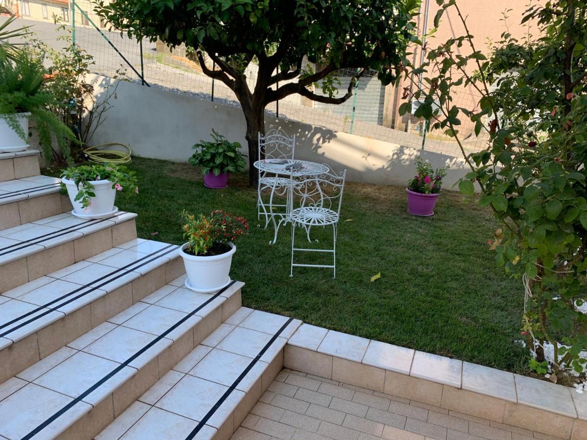 B&B Villa Pignataro Verbicaro Extérieur photo